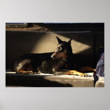 Morgan Posters