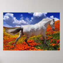 MORISCO IN SPRING FLOWERS Poster