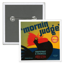Mornin Judge Grapefruit and Oranges Pin