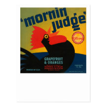 Mornin Judge Grapefruit and Oranges Post Card