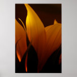 MORNING 12x18 Print