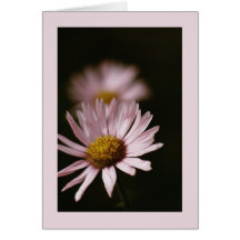 Morning Blush: Note Card