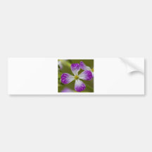 Morning Colour Bumper Sticker