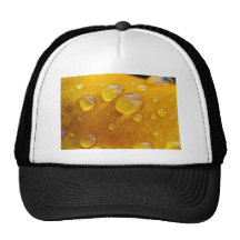 Morning Dew Droplets Trucker Hat