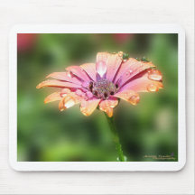 Morning Dew Drops on an Amethyst Mousepads