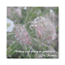 Morning Dew Magnet