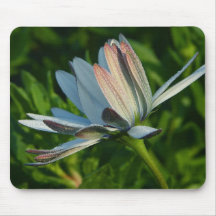 Morning Dew On Flower Mouse Pad