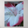 Morning Dew Posters
