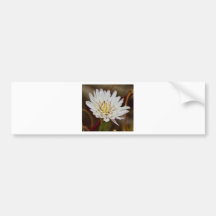 Morning Flower Bumper Stickers