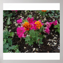 Morning Flowers Print
