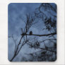 Morning Fog Bird on Branches  Mousepad