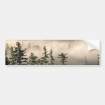 Morning Fog in the Adirondacks Bumper Stickers