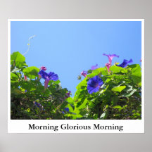 Morning Glorious Morning Posters