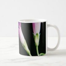 Morning Glory_1a Mugs