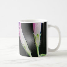 Morning Glory_1b Mugs