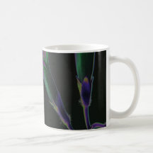 Morning Glory_1d Coffee Mugs
