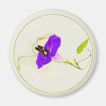 Morning Glory and Butterfly Fridge Magnet