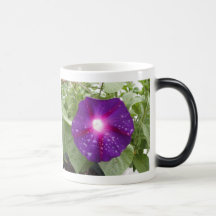 Morning Glory Blue Mug