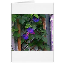 Morning Glory Card