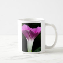 Morning Glory Coffee Mug