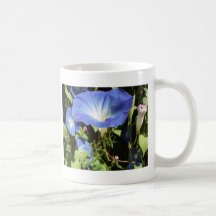morning glory coffee mugs