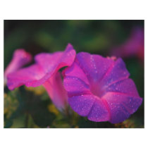 Morning glory personalized flyer