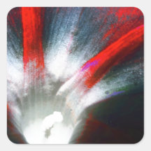 Morning Glory in red and black Square Stickers