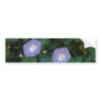 Morning Glory (Ipomoea Purpurea) flowers Bumper Stickers