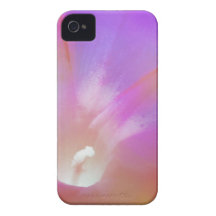 Morning Glory Kiss iPhone 4 Case