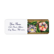 MORNING GLORY LABELS
