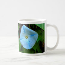 Morning Glory - mug