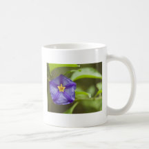 Morning Glory Mug