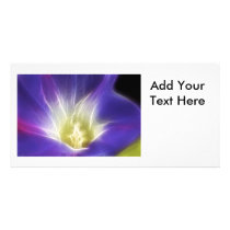 Morning Glory Photo Fractal Photo Card