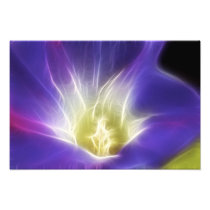 Morning Glory Photo Fractal