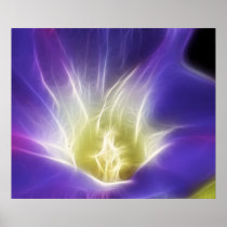 Morning Glory Photo Fractal Poster