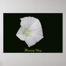 Morning Glory Print