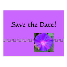 Morning Glory, Save the Date Post Card