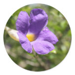 Morning Glory Stickers