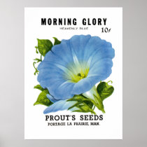 Morning Glory Vintage Seed Packet Poster