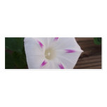 Morning Glory White Bookmark business cards