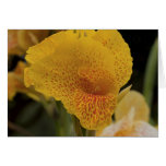 Morning Greatness Greeting Card
