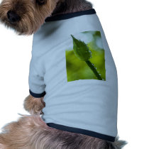 Morning Green Pet Tshirt