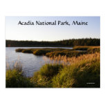 Morning In Acadia Postcard