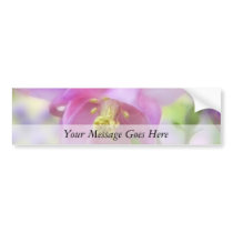 Morning In The Columbine Garden Bumper Sticker
