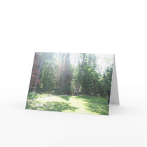 Morning Light Card