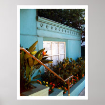 Morning Light in California Poster