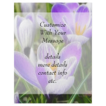 Morning Light On The Crocuses Personalized Flyer