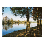 Morning Light Postcards