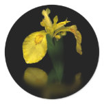 Morning Melody Sticker
