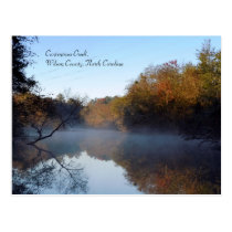 Morning Mist - Contentnea Creek postcards